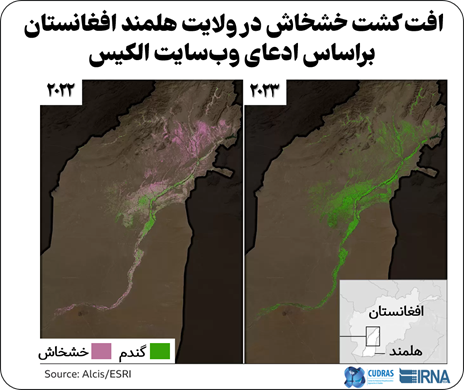 رویکرد ایران در برابر همسایه شرقی؛ طالبان به کدام سو میرود؟