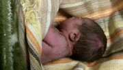 توضیح نیروی انتظامی بابلسر در ارتباط با کشف جسد  نوزاد در بابلرود +فیلم