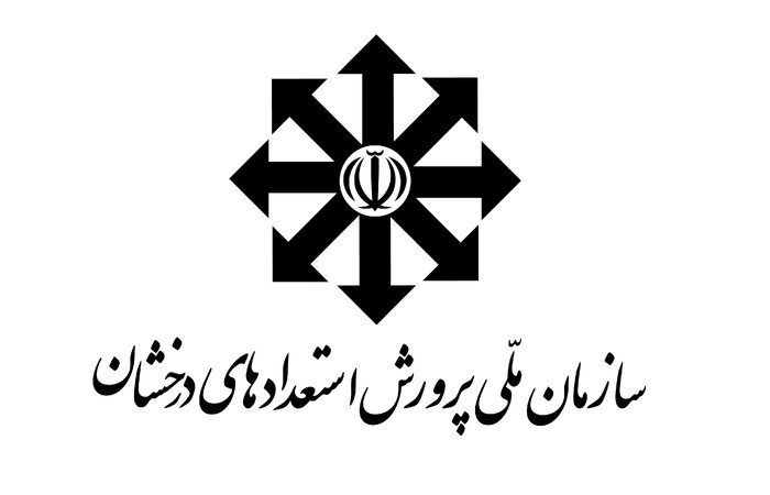 از افزایش ۱۰۰ درصدی حضور دانشآموزان کمبرخوردار تا کسب ۷۷ درصد رتبههای تکرقمی کنکور