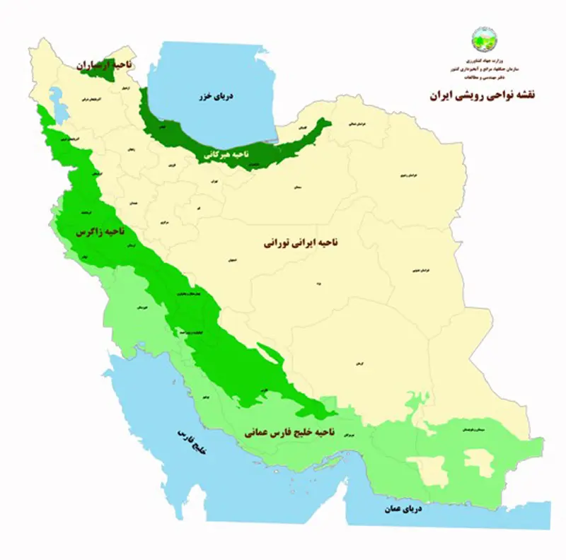 جنگل هیرکانی؛ قدیمی‌ترین جنگل‌های دنیا در ایران