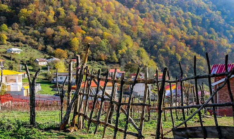 جنگل هیرکانی؛ قدیمی‌ترین جنگل‌های دنیا در ایران