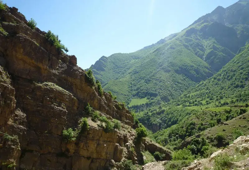 جنگل هیرکانی؛ قدیمی‌ترین جنگل‌های دنیا در ایران