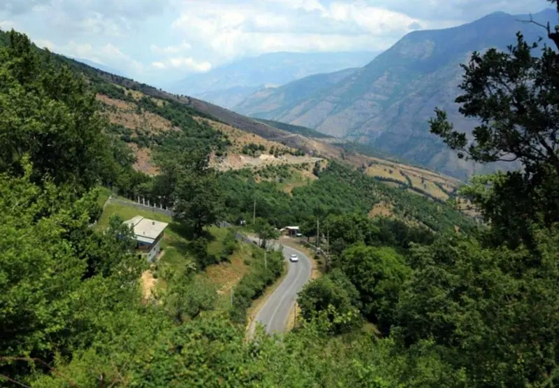 جنگل هیرکانی؛ قدیمی‌ترین جنگل‌های دنیا در ایران