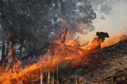 بیش از ۱۰هکتار جنگل و مرتع باشت  در آتش سوخت