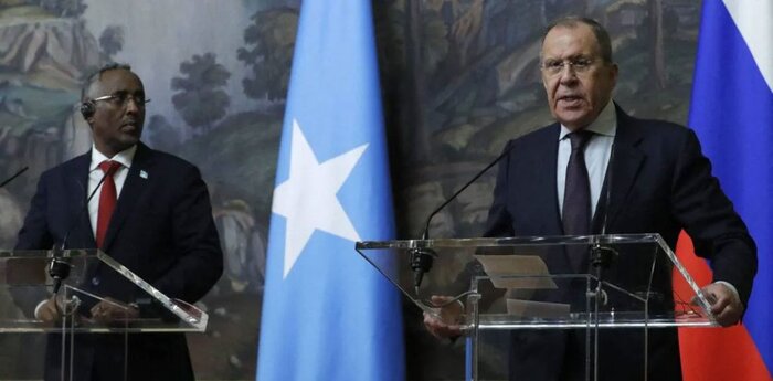 سومالی خواستار حمایت روسیه برای لغو تحریم سلاح این کشور است