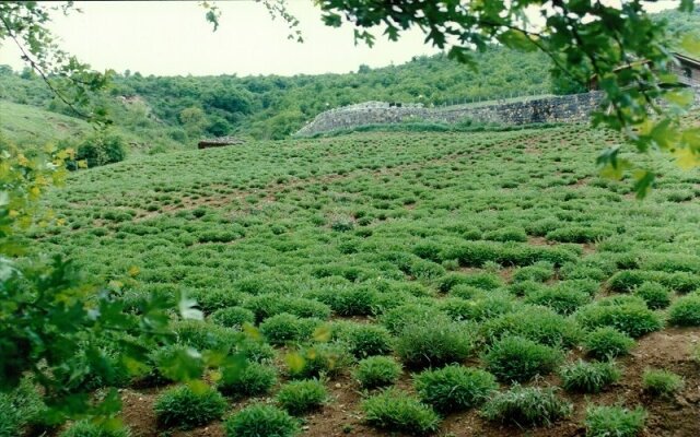 گام به گام برای ثبت جهانی روستای تاریخی کندلوس کجور نوشهر