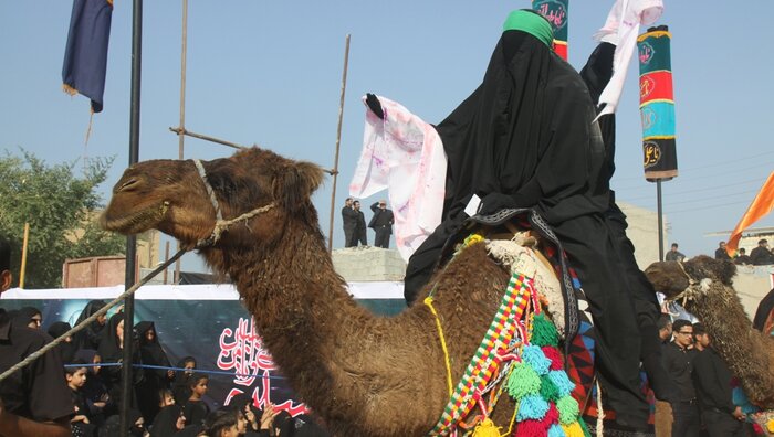 نعش و کتل آیین نمایشی مذهبی دیرینه در شهرستان گناوه