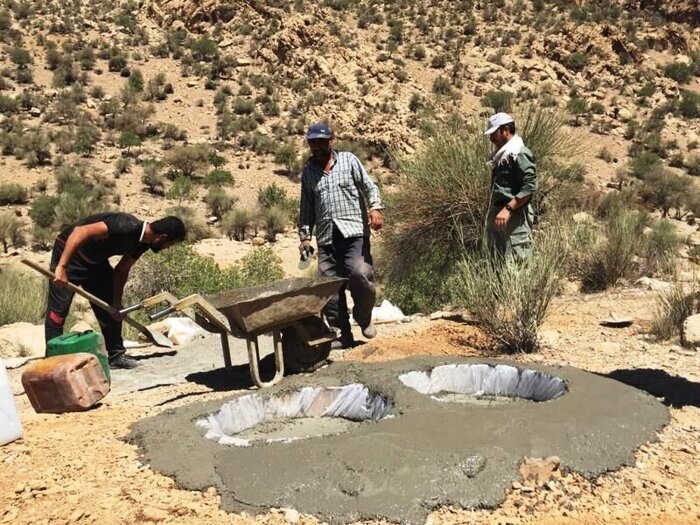 احکام سبز ایرانی در خدمت محیط زیست