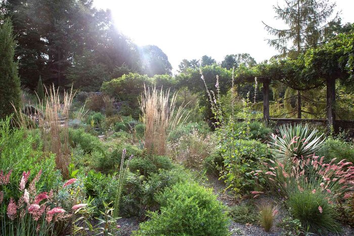 آبی که چمنهای شهری میخورند؛ ۲.۳ برابر ذخیره سد کرج