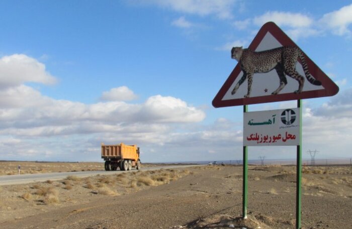 آهسته برانید «اینجا قلمرو یوزپلنگ‌هاست»