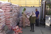 ۳۰۰ تن برنج در اختیار هیاتهای مذهبی مشهد قرار گرفت