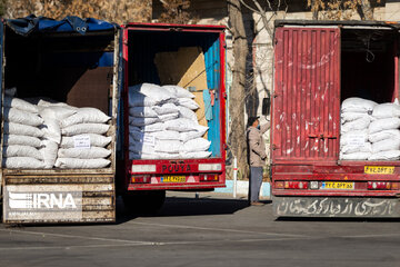 رشد ۷۶ درصدی تشکیل پرونده قاچاق کالا در مرز مهران