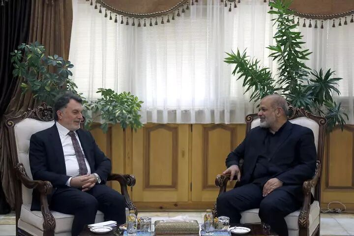 Increased Tehran-Ankara ties to benefit Muslim world: Iranian minister