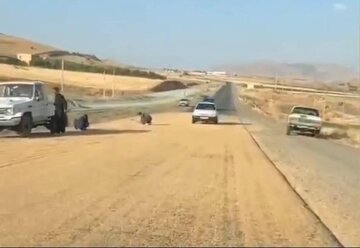 رنج کشاورزان کردستانی در کف جاده؟ + فیلم