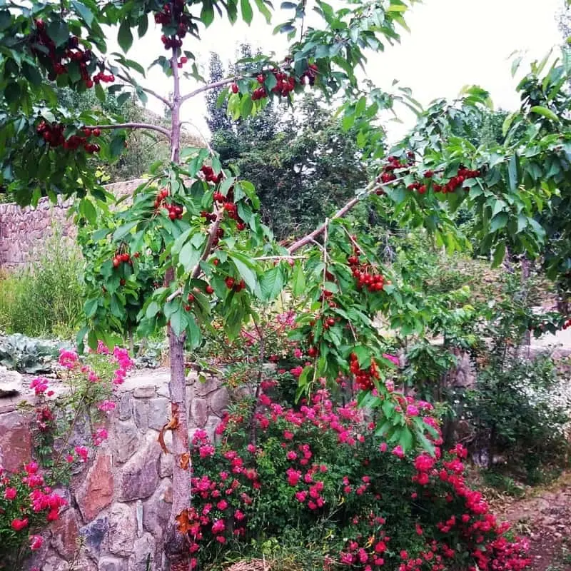 آبنیک؛ روستایی زیبا با مناظری دل‌انگیز