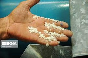 استاندار گیلان: ۶۵ هزار میلیارد ریال تسهیلات برای خرید برنج داخلی اختصاص یافت