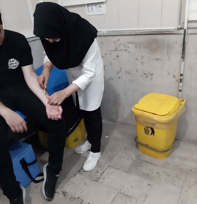جولان سگ ها در تبریز پیش چشم مسوولان/ثبت سه هزار حیوان گزیدگی در ۱۵ ماه