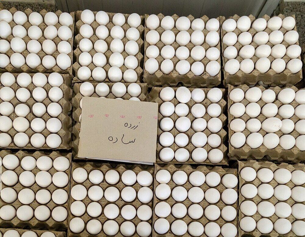 Les exportations d'œufs de l'Iran dépassent les 60 000 tonnes 
