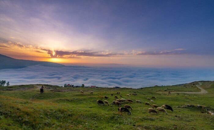 هوای خنک در راه مازندران