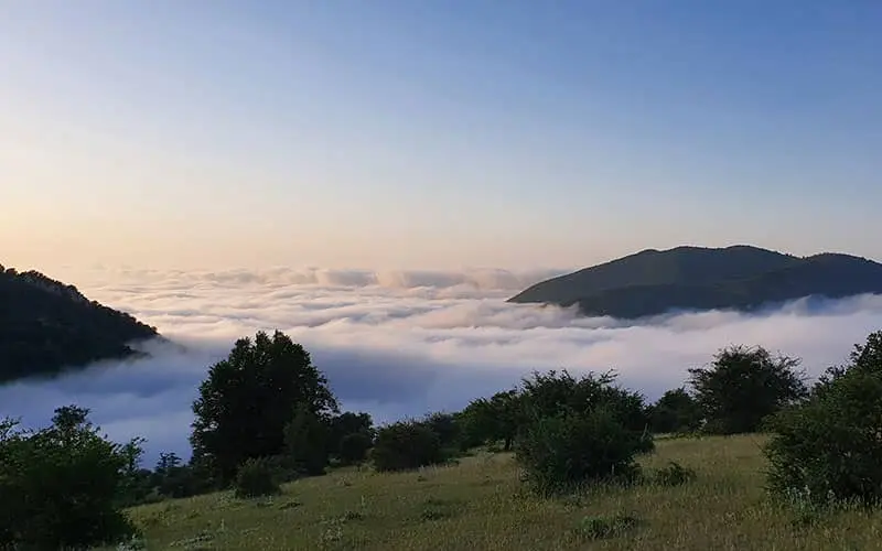 زیباترین جنگل های ایران را بشناسید