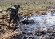 جنگلبان‌های شاهرود از سرایت آتش‌سوزی سه هکتاری به مراتع جلوگیری کردند