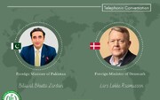 پاکستان : دولت دانمارک از اقدامات اسلام‌هراسانه جلوگیری کند