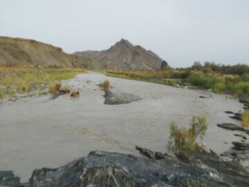 فیلم / بارش باران و جاری شدن روان‌آب‌ها در شهرستان نیکشهر