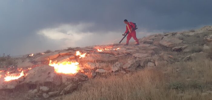 دستی بر آتش برای امنیت جنگلهای بوشهر با جنگلبانانی کمشمار