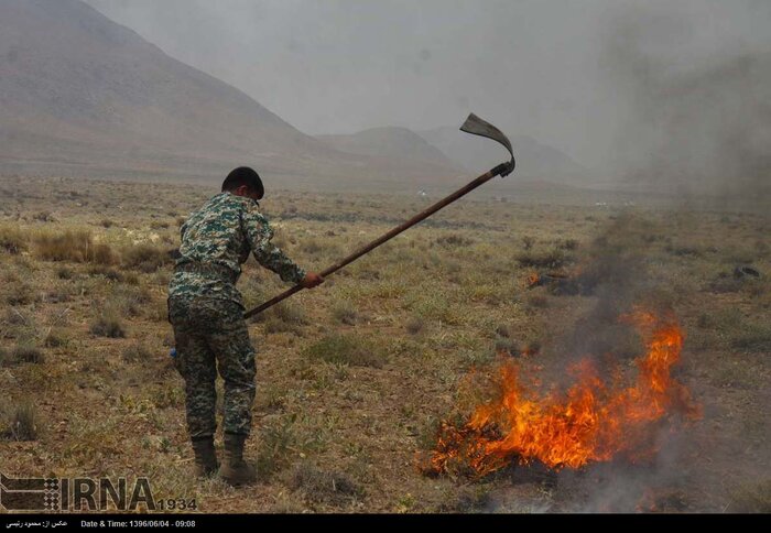 دستی بر آتش برای امنیت جنگلهای بوشهر با جنگلبانانی کمشمار