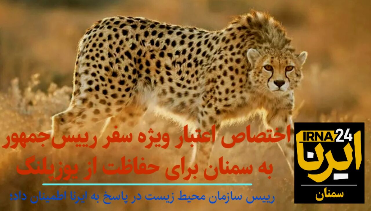 فیلم | اختصاص اعتبار ویژه سفر رییس جمهوری به سمنان برای حفاظت از یوزپلنگ