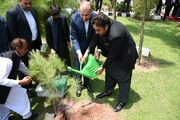 Iran, Pakistan foreign ministers plant sapling of friendship