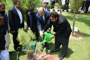 گزارش تصویری استقبال از وزیرخارجه ایران در پاکستان با غرس نهال دوستی