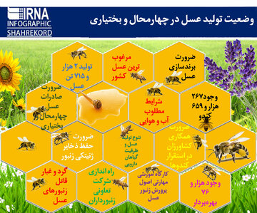 اینفوگرافیک/وضعیت تولید عسل در چهارمحال و بختیاری