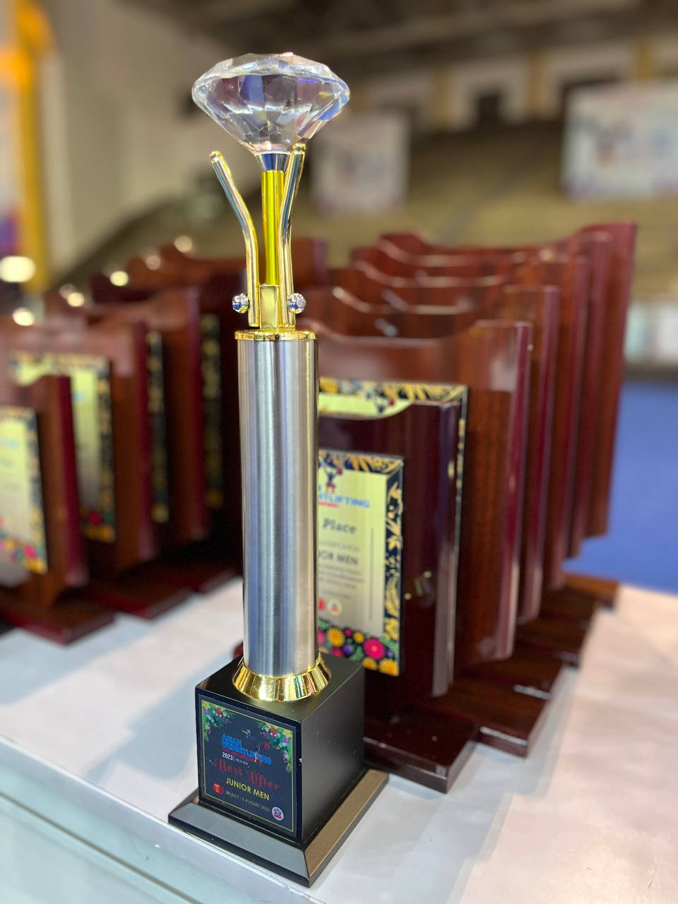 سلطه ایران بر دسته فوقسنگین آسیا