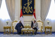 گفت وگوی  السیسی و رئیس امارات درباره تحولات منطقه