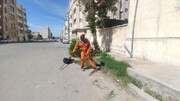 ساعت کار پاکبانان روزکار در بوشهر ۲ ساعت کاهش یافت