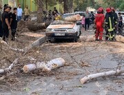 بیش از ٧٠ مورد حادثه مرتبط با بارش رگباری در مشهد رخ داد