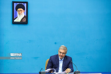 Iran's Social Council meeting