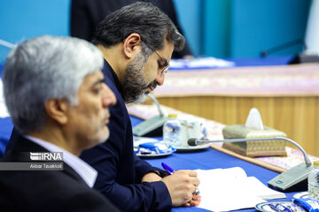 Iran's Social Council meeting