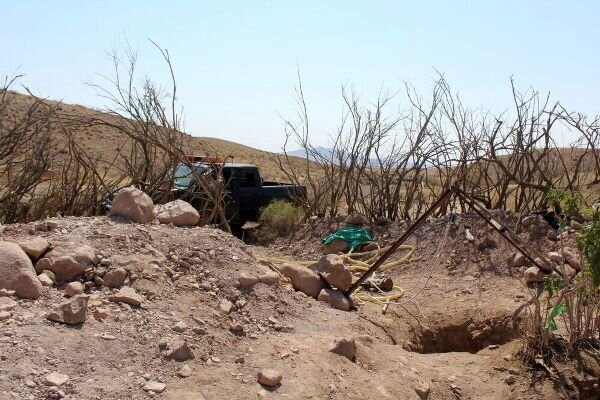 جستجوی گنج در جنگلهای هیرکانی