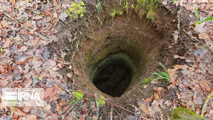 جستجوی گنج در جنگلهای هیرکانی