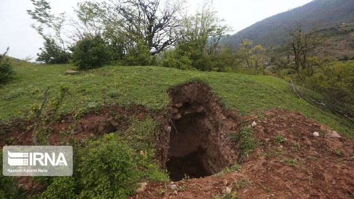 جستجوی گنج در جنگلهای هیرکانی