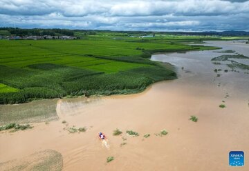 باران سیل آسا در چین ۱۴ کشته و یک مفقود برجای گذاشت