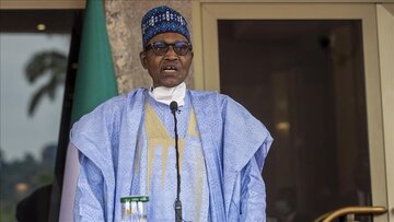 نیجریه: ترجیح رئیس‌جمهور و اکوواس بر حل دیپلماتیک بحران نیجر است