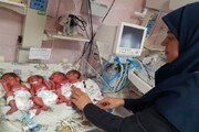 چهار قلوهای نجف‌آبادی تحت پوشش بیمه سلامت قرار گرفتند
