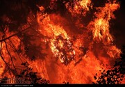 هراس جنگل‌های شمال از هجوم آتش
