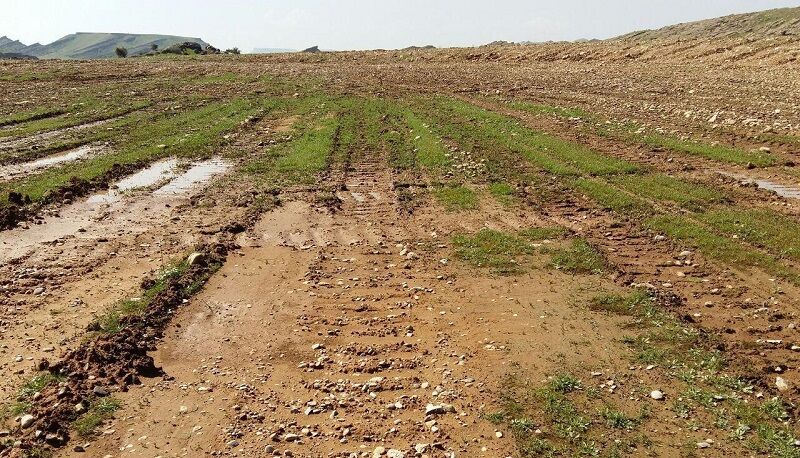 ۸۶ هزار مترمکعب بندسار در ۶ روستای دشتیاری احیا و مرمت شد