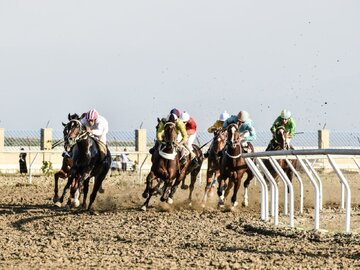 رقابت ۴۳ راس اسب در هفته اول کورس اسبدوانی آق‌قلا