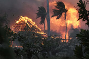 شمار کشته‌شدگان آتش‌سوزی جنگل‌ها در هاوایی به ۵۳ نفر رسید