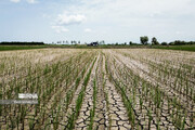 Water tension in Iran's coastal Mazandaran province